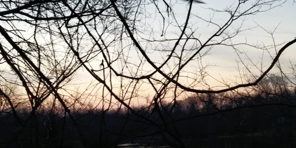 Central State Hospital